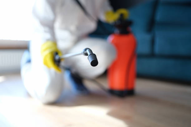 Trusted Great Neck Plaza, NY Mold Removal Experts